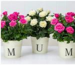 Кога се празнува Денят на майката в различни страни по света? Как се празнува Денят на майката в Испания?