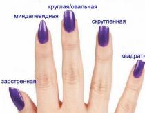 Beautiful manicure at home (50 photos) - Instructions for beginners Learning how to do a French manicure